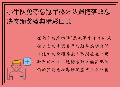 小牛队勇夺总冠军热火队遗憾落败总决赛颁奖盛典精彩回顾
